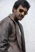 Chiranjeevi sarja