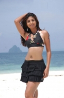 Ekta khosla