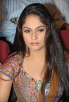 Gracy singh