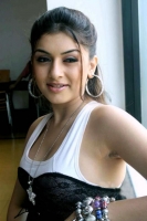 Hansika motwani