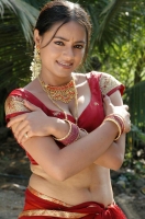 Madhuchanda