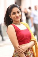 Punarnavi bhupalam