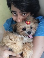 Raj tarun
