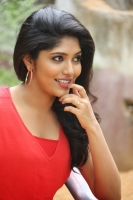 Samyukta hornad