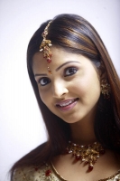 Sanchita padukone