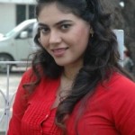 Sherin shringar