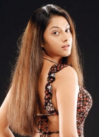 Sindhu tolani