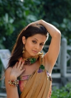 Vedhika