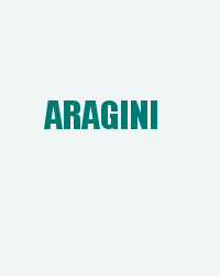Aragini