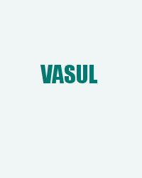Vasul