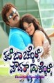 Thale Bachkolli Powder Hakkolli Movie Poster