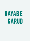 Gayab e Garud