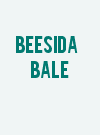 Beesida Bale